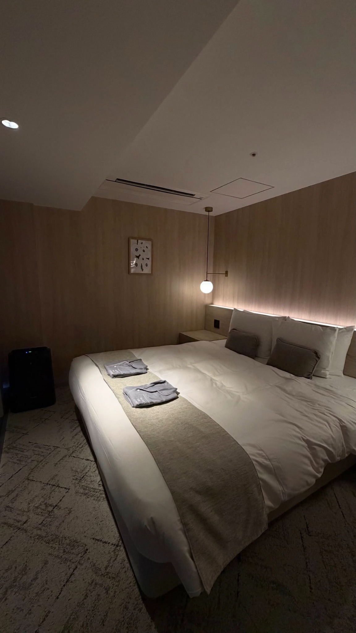 hotel-the-leben-osaka住宿照片
